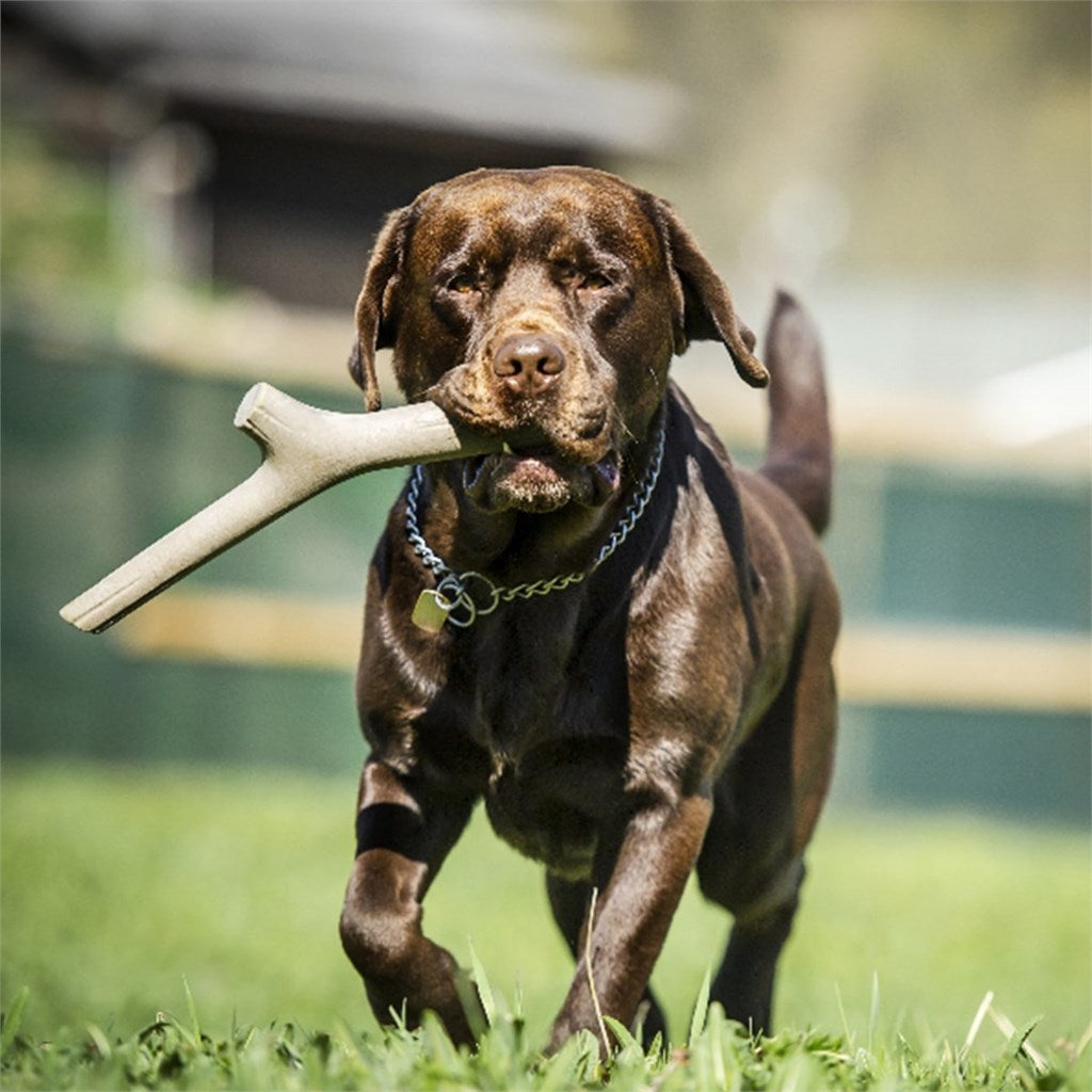 GIOCO TUTTOMIO PER CANI - varie misure